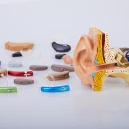 Hearing aid technology.